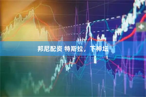 邦尼配资 特斯拉，下神坛