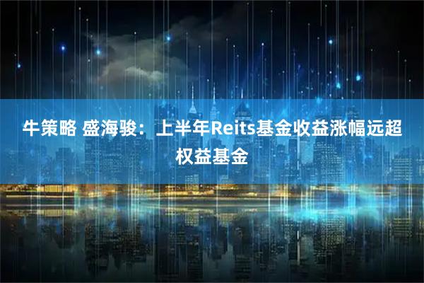 牛策略 盛海骏：上半年Reits基金收益涨幅远超权益基金