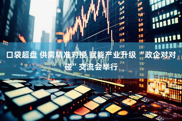 口袋超盘 供需精准对接 赋能产业升级 “政企对对碰”交流会举行